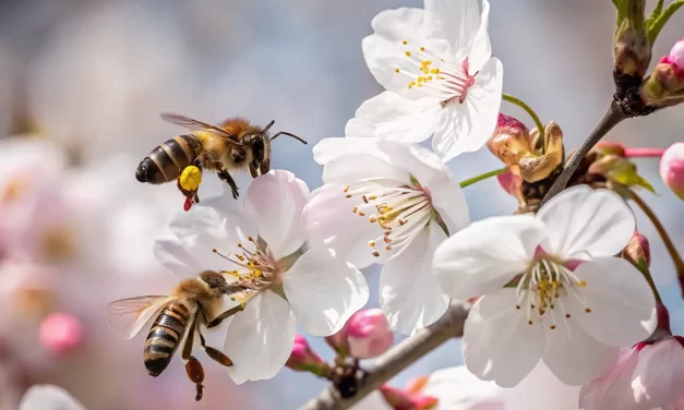 ✨ How Can I Feel the Existence of God: Enlightenment Truth Awareness Awakening | Master Woo Myung | Santa Clara Meditation