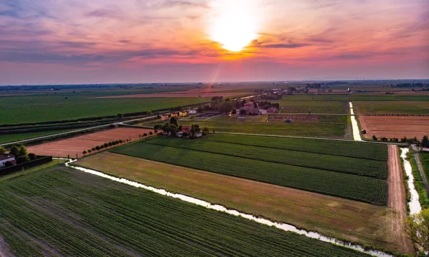 🌙 Regret: Life Meaning Suffering Enlightenment Truth | Master Woo Myung | Santa Clara Meditation