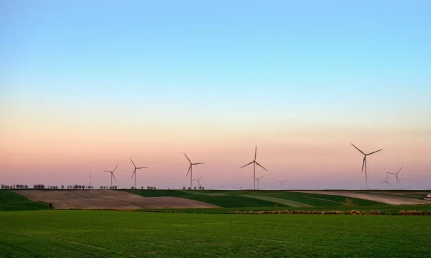 🌌 I Want to Live with the Mind of Emptiness and True Mind | Master Woo Myung | Santa Clara Meditation