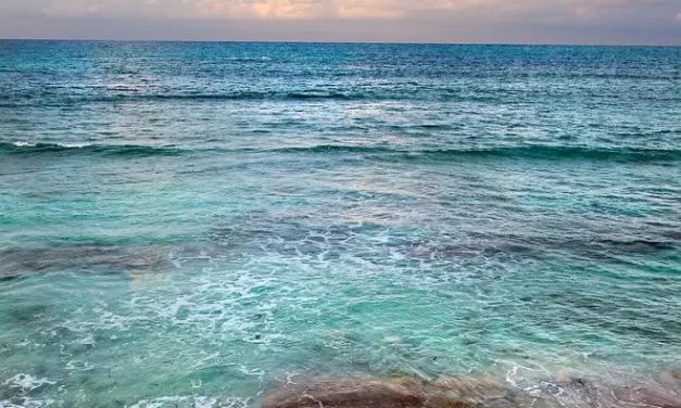 🧩 Jal Moshida Meaning: Korean Phrase Truth Within Mind Rebirth Universe | Master Woo Myung | Santa Clara Meditation