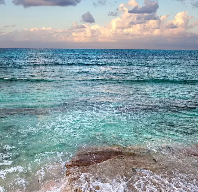 🧩 Jal Moshida Meaning: Korean Phrase Truth Within Mind Rebirth Universe | Master Woo Myung | Santa Clara Meditation