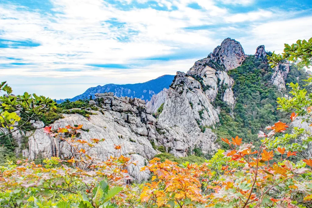 Master Woo Myung life truth greed poverty enlightenment meditation reflection