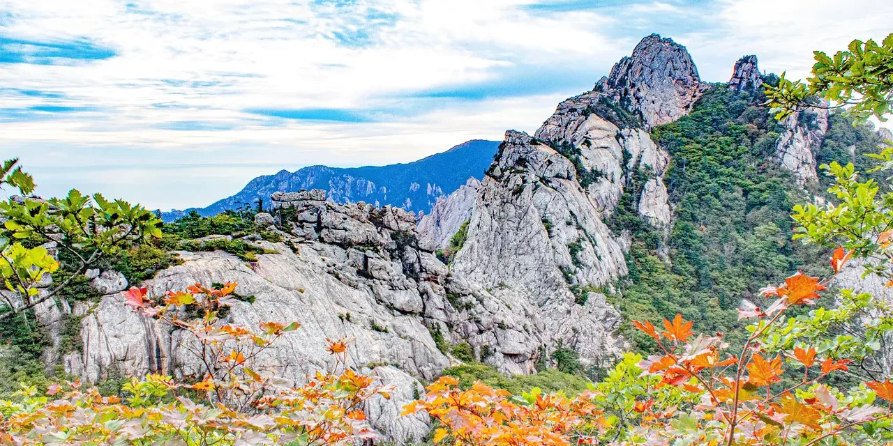 🌿 My Name: Life Truth Greed Poverty Enlightenment Reflection | Master Woo Myung | Santa Clara Meditation