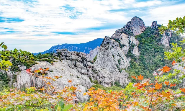 🌿 My Name: Life Truth Greed Poverty Enlightenment Reflection | Master Woo Myung | Santa Clara Meditation