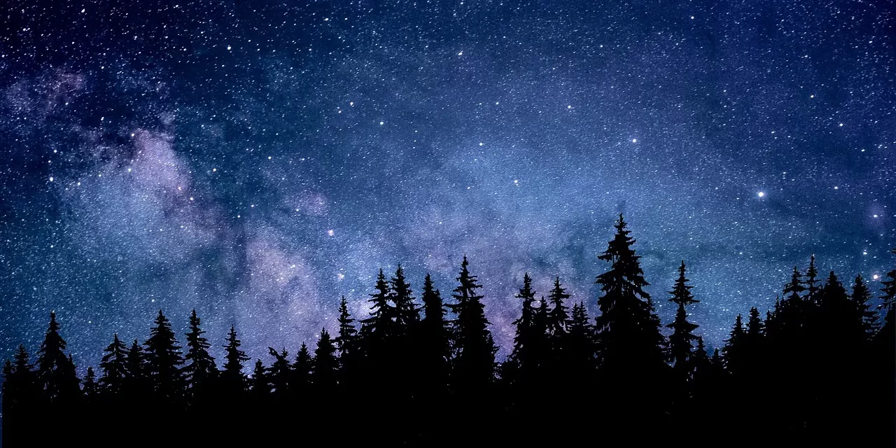 🌅 THE DAWN OF THE NEW WORLD COMPLETE FREEDOM AND TRUE WISDOM | Master Woo Myung | Santa Clara Meditation