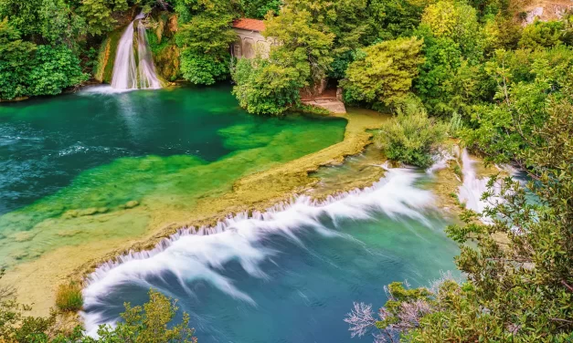 ✨ What One Came to the World to Do: Truth Wisdom God Universe Purpose Enlightenment | Master Woo Myung | Santa Clara Meditation