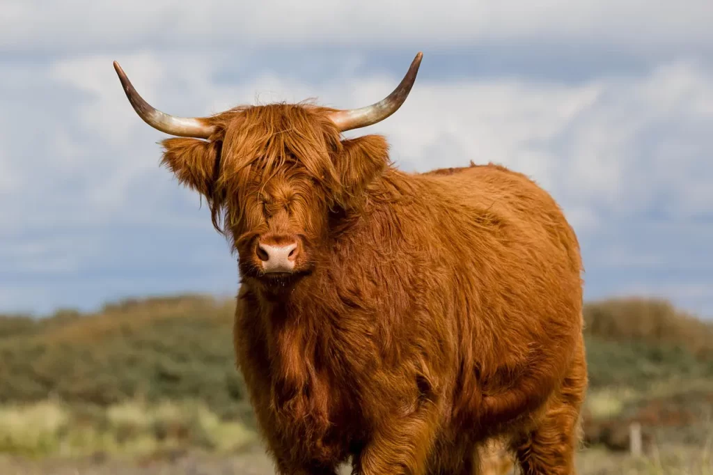 Master Woo Myung truth within heaven paradise bliss human completion meditation