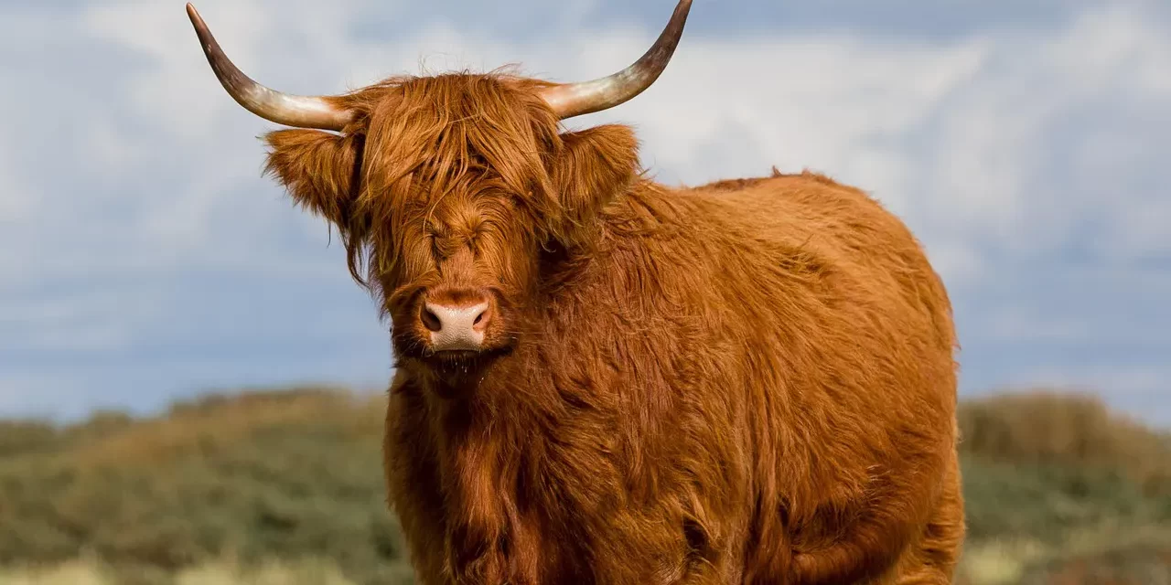 ✨ When Truth Exists Within You, You Live in Heaven and Complete Life | Master Woo Myung | Santa Clara Meditation