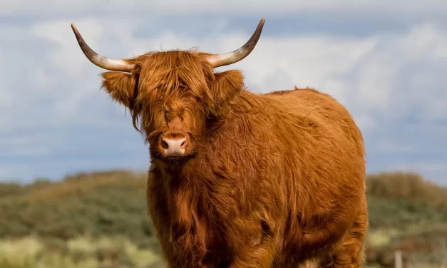 ✨ When Truth Exists Within You, You Live in Heaven and Complete Life | Master Woo Myung | Santa Clara Meditation