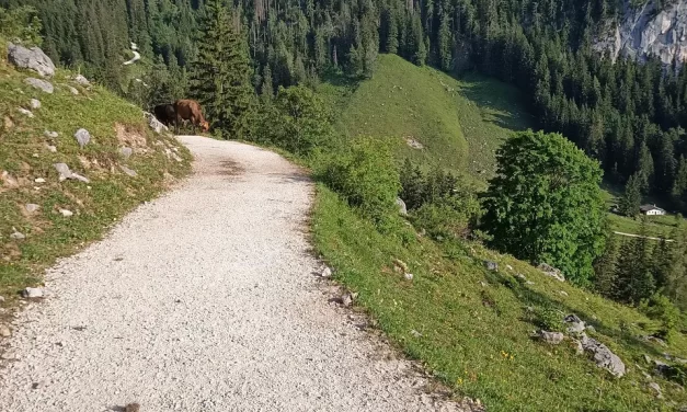 🔄 Resurrection: Rebirth Truth Eternal Life New Heaven New Earth | Master Woo Myung | Santa Clara Meditation