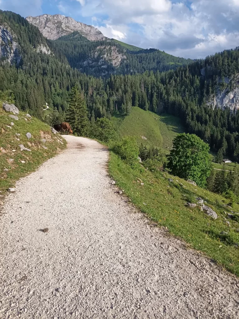 Master Woo Myung resurrection rebirth truth eternal life meditation teaching