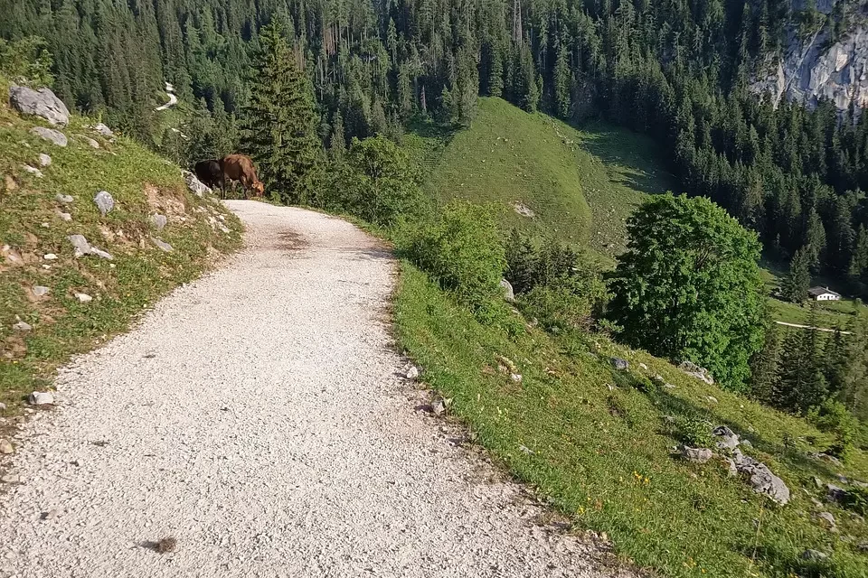 🔄 Resurrection: Rebirth Truth Eternal Life New Heaven New Earth | Master Woo Myung | Santa Clara Meditation