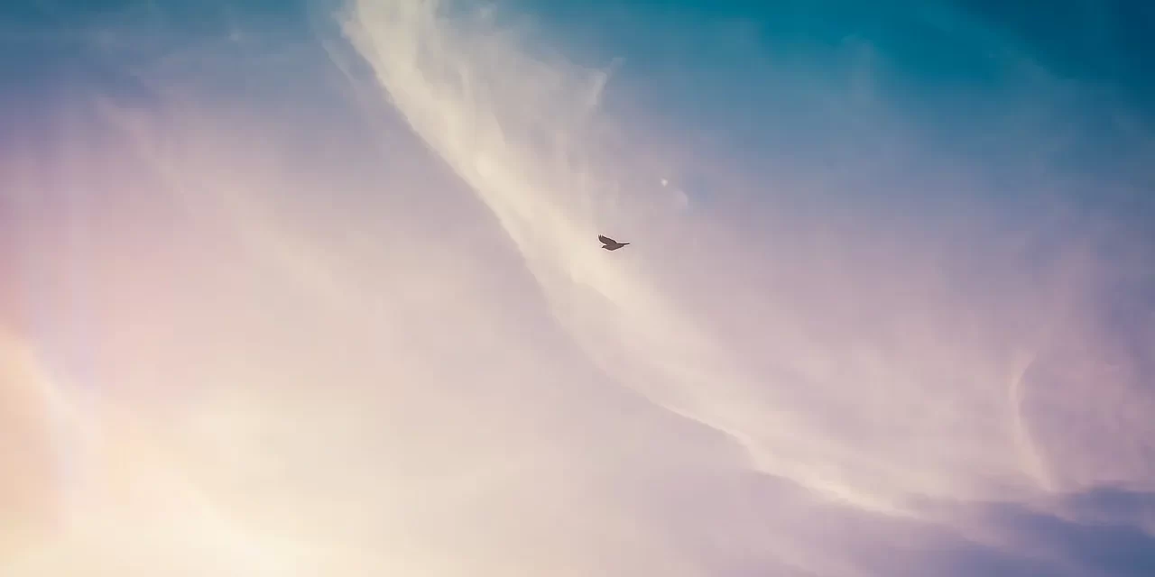 ✨ Truth: Only Those Who Have Truth Can Know It | Master Woo Myung | Santa Clara Meditation