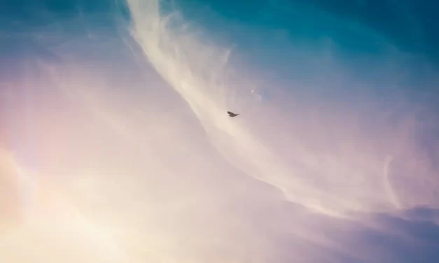 ✨ Truth: Only Those Who Have Truth Can Know It | Master Woo Myung | Santa Clara Meditation