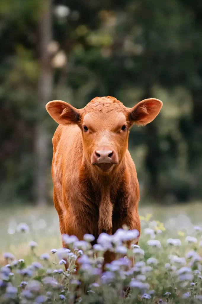 Master Woo Myung righteousness truth universe oneness perception