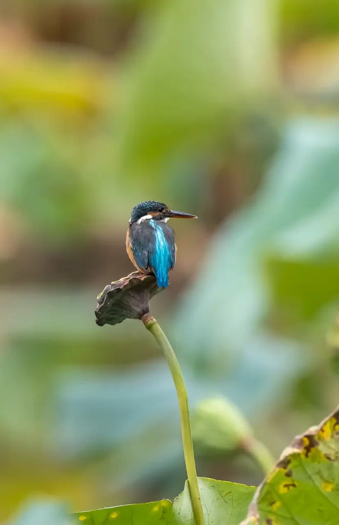 Master Woo Myung perfect solution truth consciousness life wisdom meditation