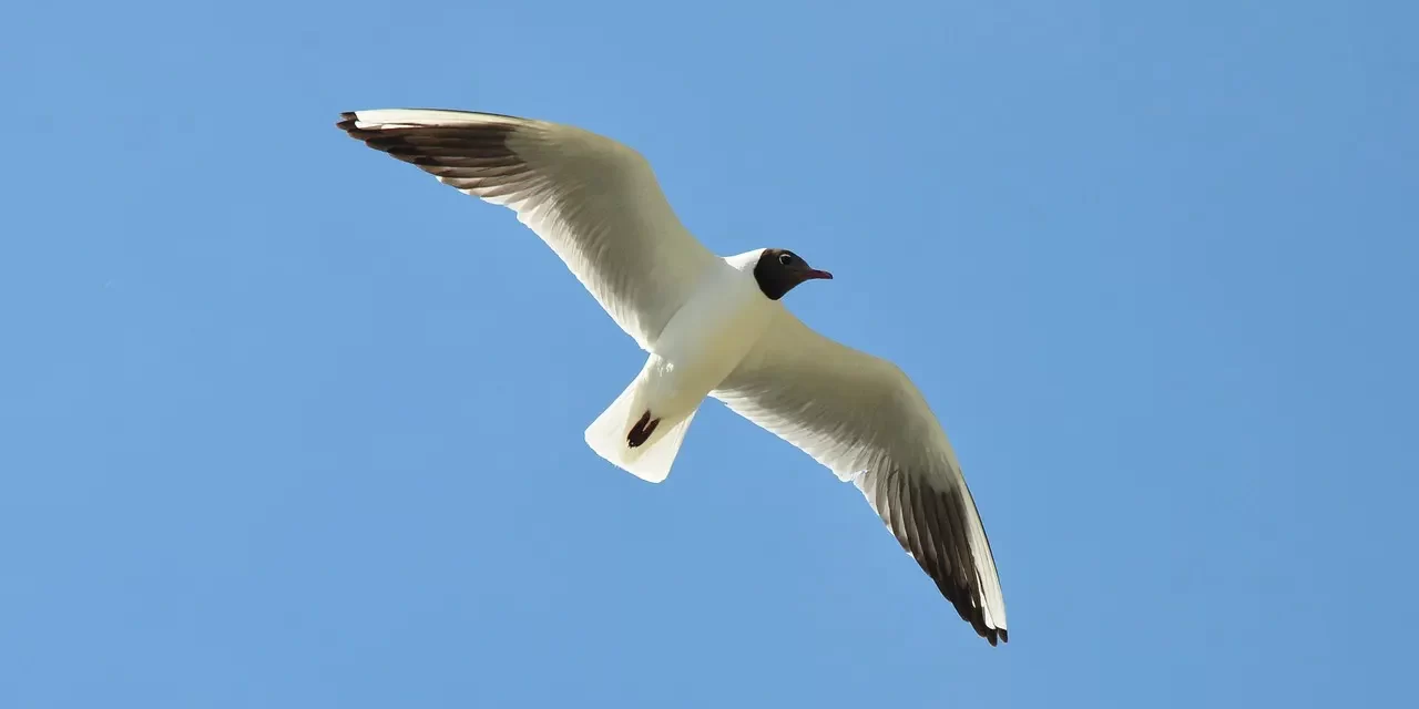 🌈 Christian Miracles Explained: Revelation Blessing True Self Truth Awakening | Master Woo Myung | Santa Clara Meditation