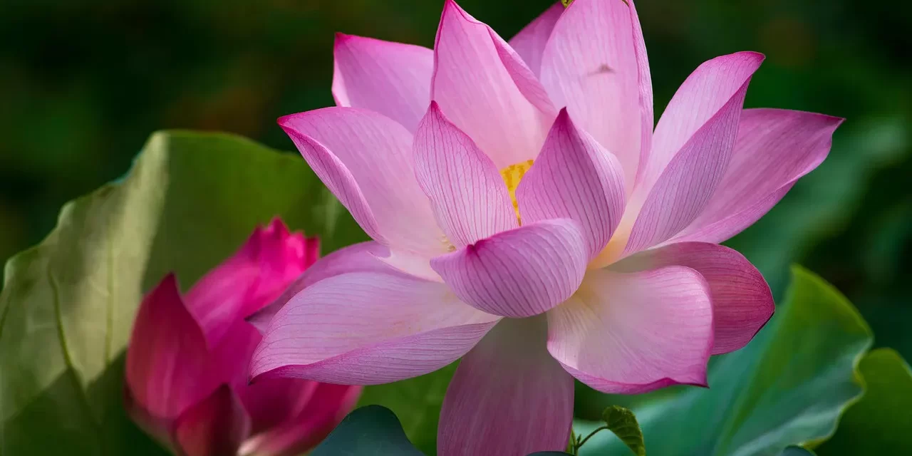 ⏳ Second Coming of Christ 1996: Messiah Return Truth Savior Meaning Explained | Master Woo Myung | Santa Clara Meditation