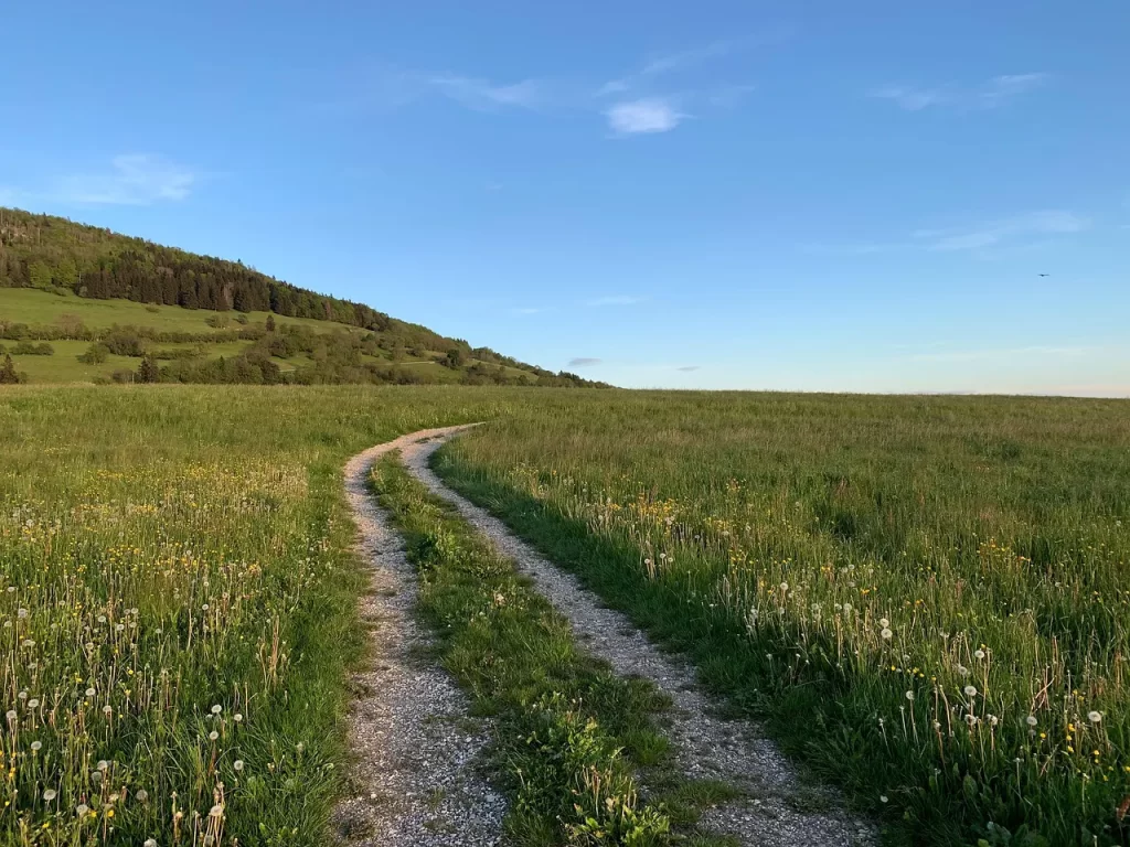 Master Woo Myung mind reborn truth enlightenment seeing truth sunrise clarity meditation