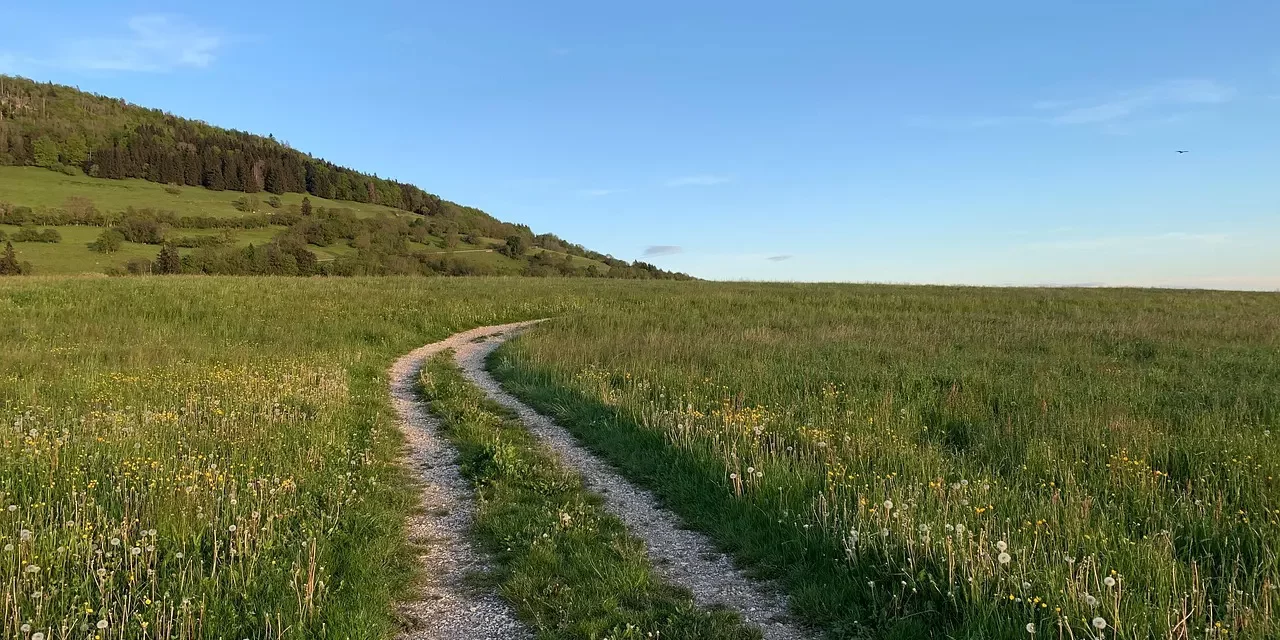 🌄 When the Mind Is Reborn as Truth, One Truly Lives | Master Woo Myung | Santa Clara Meditation