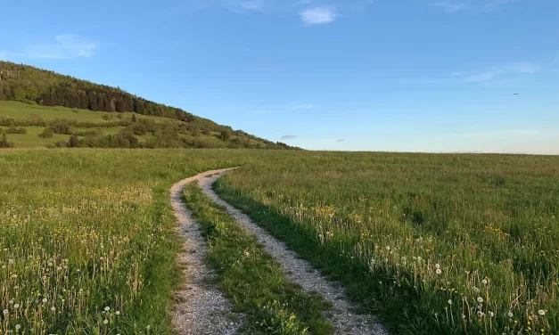 🌄 When the Mind Is Reborn as Truth, One Truly Lives | Master Woo Myung | Santa Clara Meditation