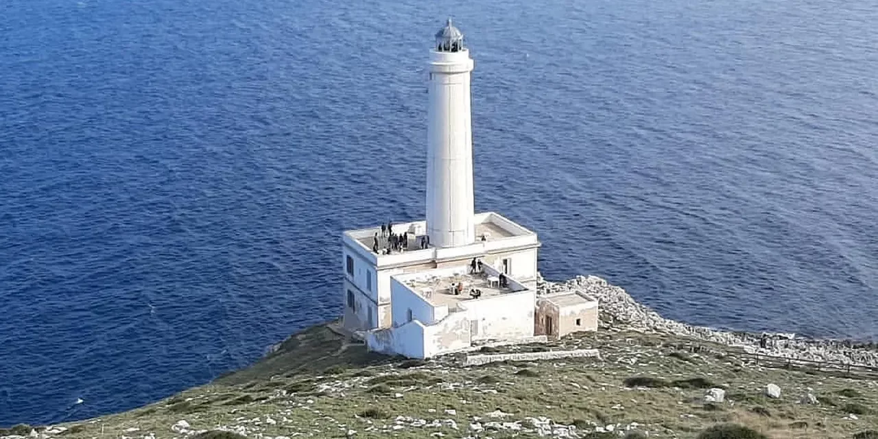 ⚙️ Actions Meaning: No Self No Thought No Karma Present Awareness Truth | Master Woo Myung | Santa Clara Meditation