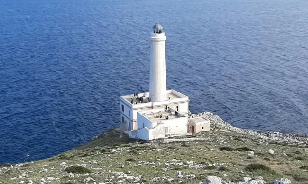 ⚙️ Actions Meaning: No Self No Thought No Karma Present Awareness Truth | Master Woo Myung | Santa Clara Meditation