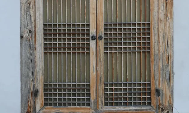 🌾 Cradle: A Story of Mother’s Love, Poverty, and Endurance | Master Woo Myung | Santa Clara Meditation