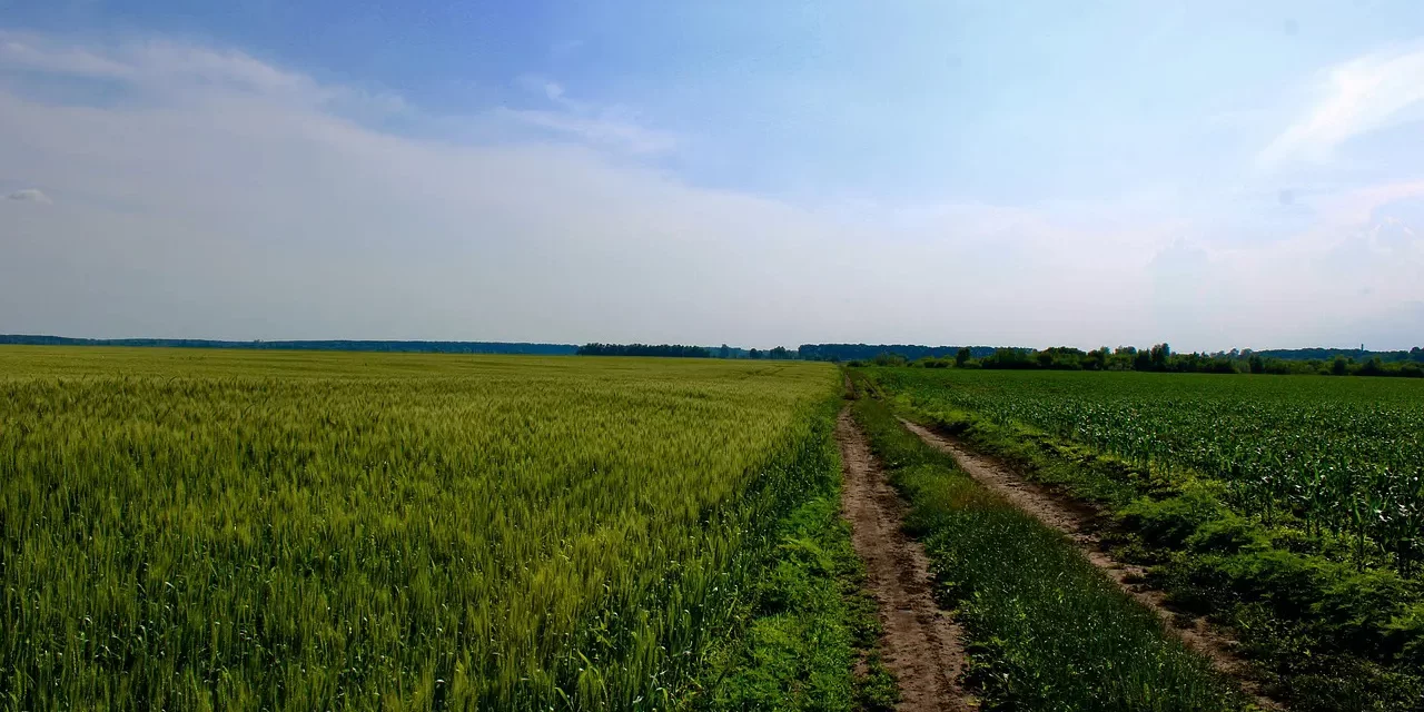 ⚡ THE POWER OF MIND TRUE FOCUS AND UNCHANGING STRENGTH | Master Woo Myung | Santa Clara Meditation