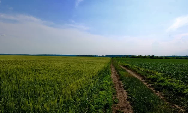 ⚡ THE POWER OF MIND TRUE FOCUS AND UNCHANGING STRENGTH | Master Woo Myung | Santa Clara Meditation