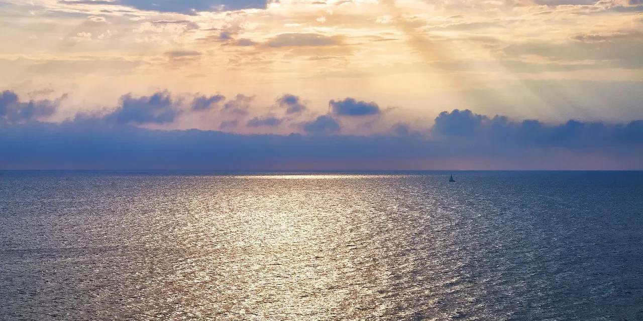 🌍 The Truth Wanderer: Life Purpose Truth Teaching Journey Enlightenment | Master Woo Myung | Santa Clara Meditation