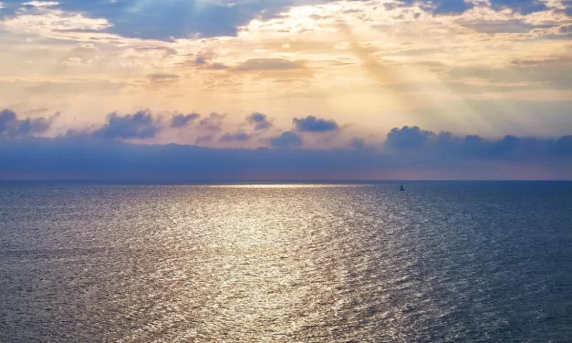 🌍 The Truth Wanderer: Life Purpose Truth Teaching Journey Enlightenment | Master Woo Myung | Santa Clara Meditation