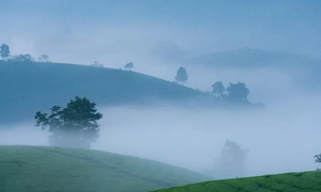 🌿 Hardships: The Cause of Suffering and the Way to Be Free | Master Woo Myung | Santa Clara Meditation