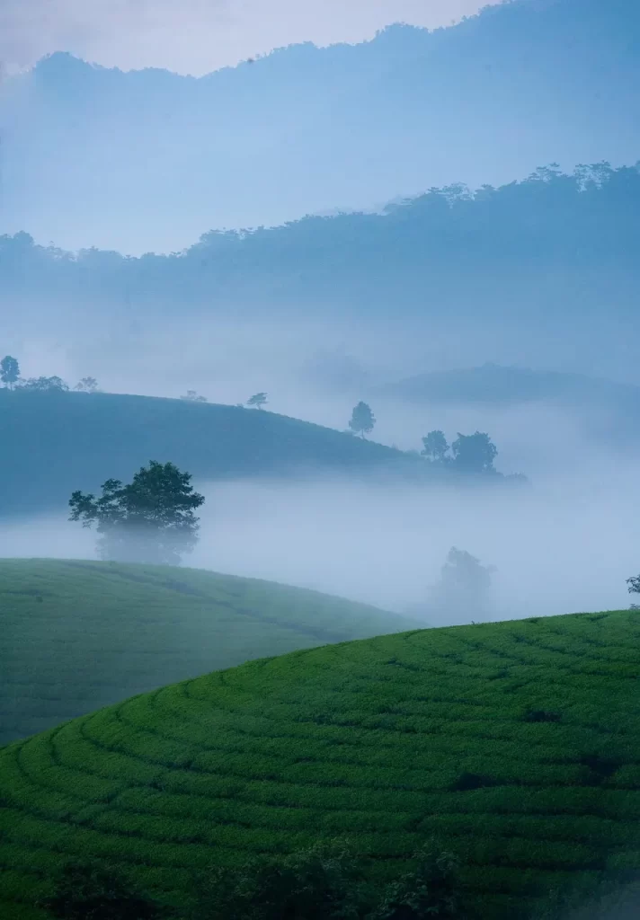 Master Woo Myung hardships suffering self ego attachment meditation truth teaching