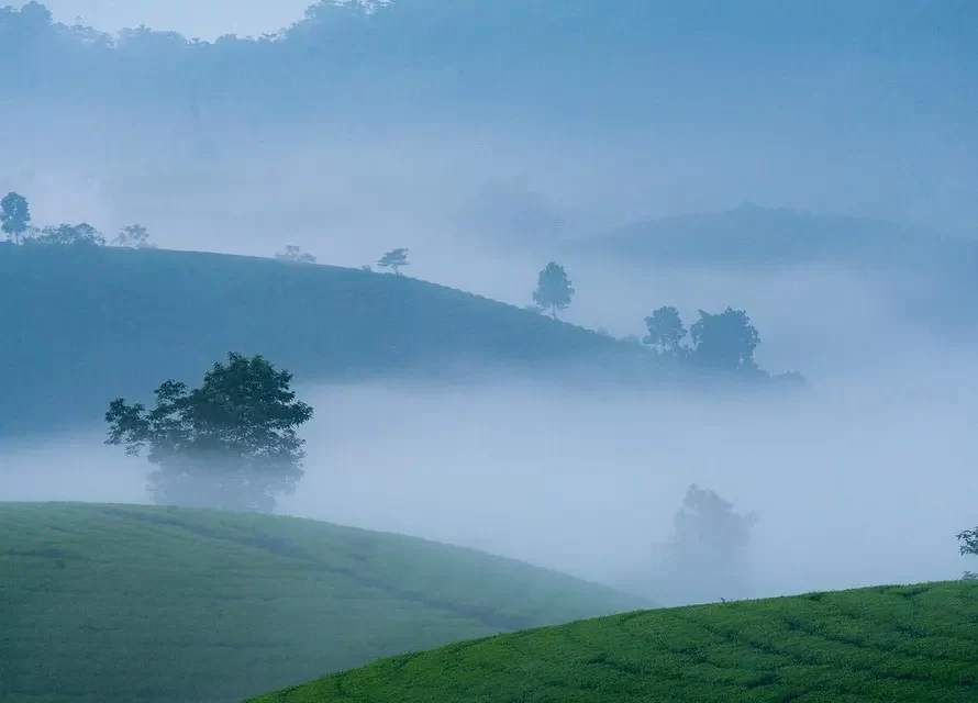 🌿 Hardships: The Cause of Suffering and the Way to Be Free | Master Woo Myung | Santa Clara Meditation