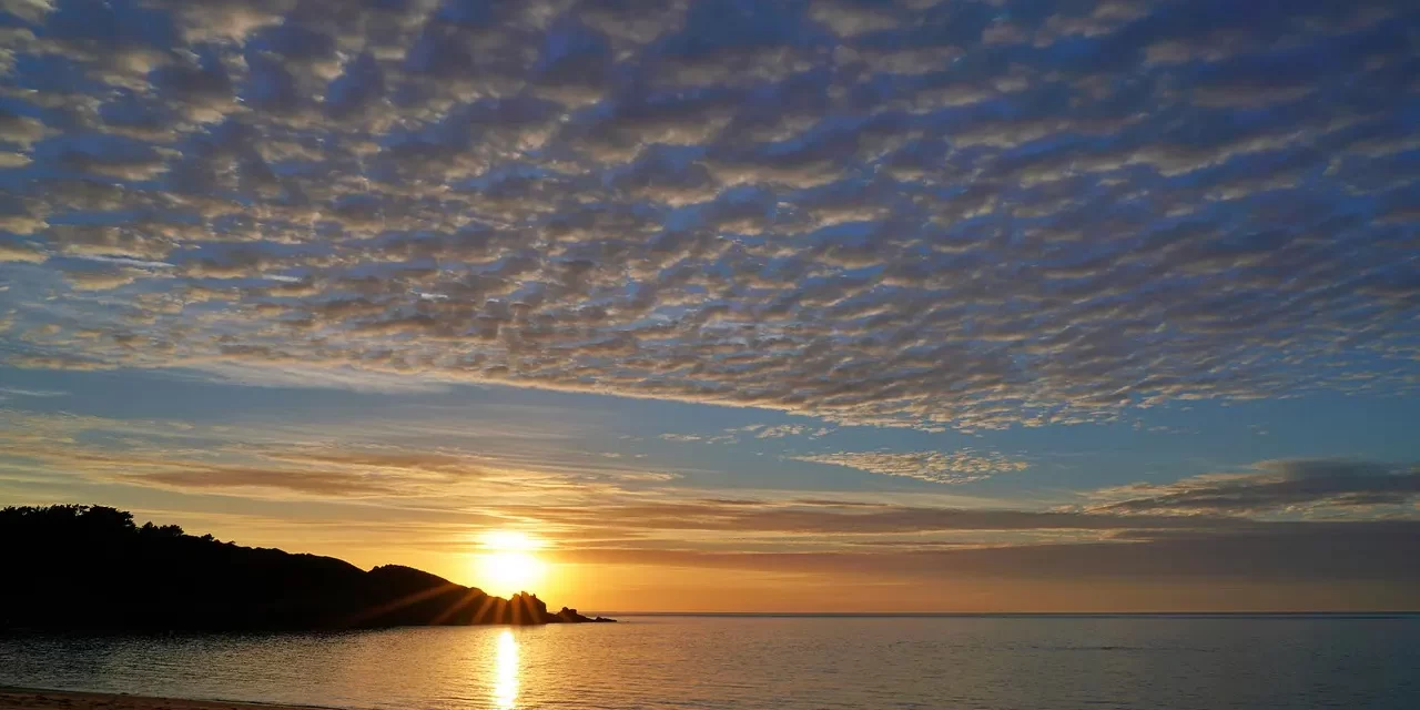 ❤️ How to Love Yourself: True Self Love Letting Go Ego Truth Eternal Life | Master Woo Myung | Santa Clara Meditation