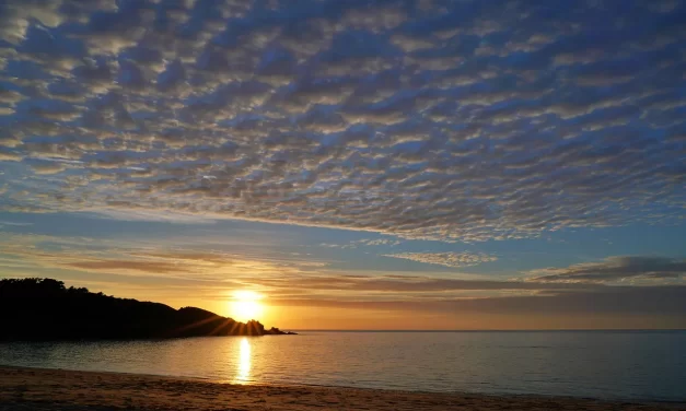 ❤️ How to Love Yourself: True Self Love Letting Go Ego Truth Eternal Life | Master Woo Myung | Santa Clara Meditation