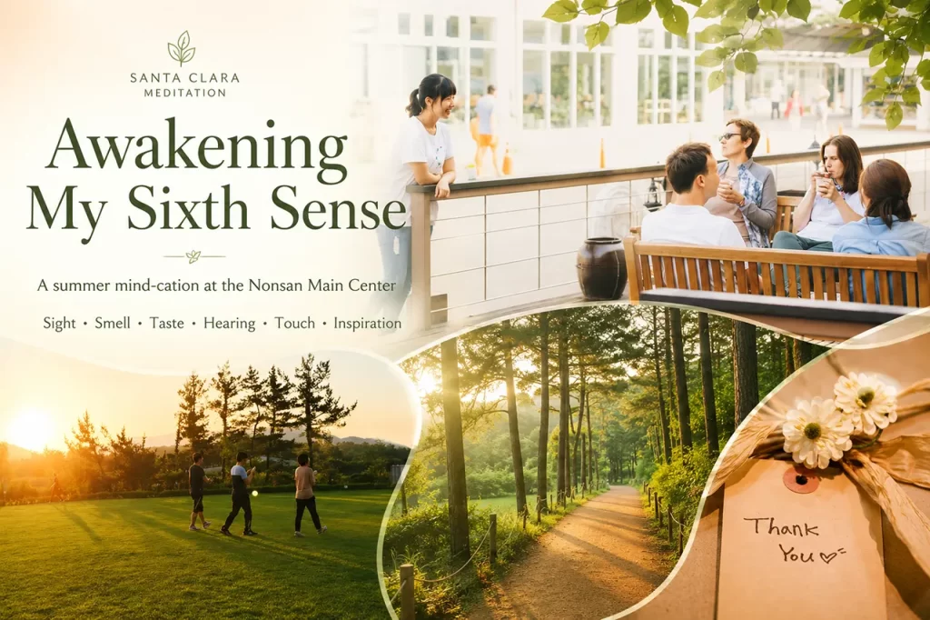 A peaceful green grass field at a meditation center, representing a relaxing meditation trip to awaken the senses