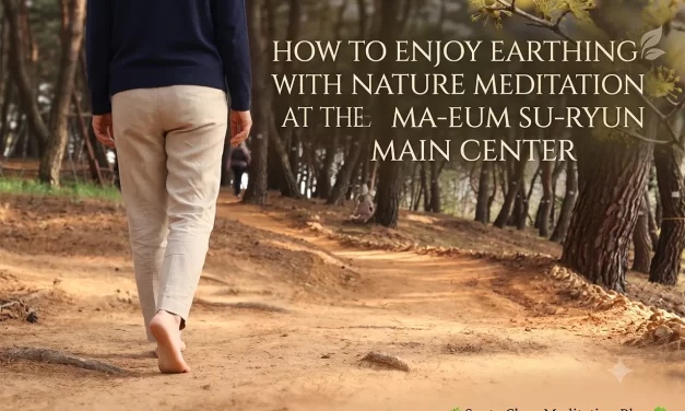 🌿 How to Enjoy Earthing with Nature Meditation at the Ma-eum Su-ryun Main Center | Santa Clara Meditation
