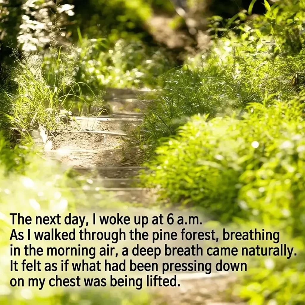 A peaceful photograph of a sunlit forest trail and dirt steps. The text shares her morning realization at the retreat, where a walk in the pine forest allowed her to breathe freely again, symbolizing the clearing of mental noise and the discovery of internal peace.
