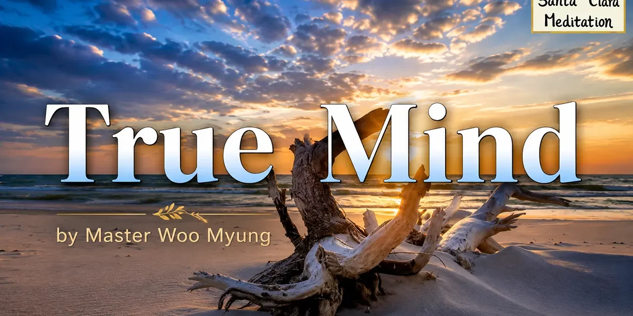 🌻 True Mind: The Path to Eternal Truth | Master Woo Myung | Santa Clara Meditation