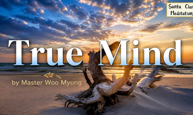 🌻 True Mind: The Path to Eternal Truth | Master Woo Myung | Santa Clara Meditation