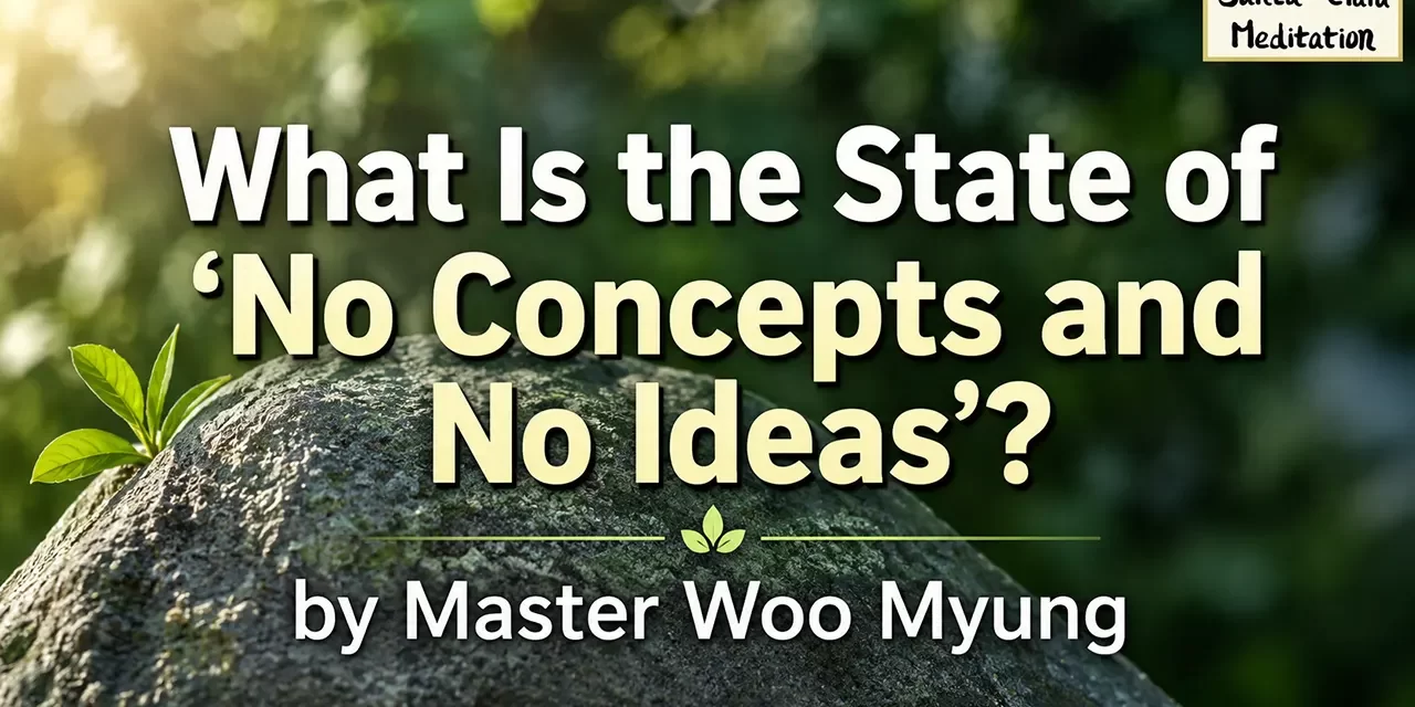 🍃 What Is the State of ‘No Concepts and No Ideas’?:: Finding True Freedom | Master Woo Myung | Santa Clara Meditation