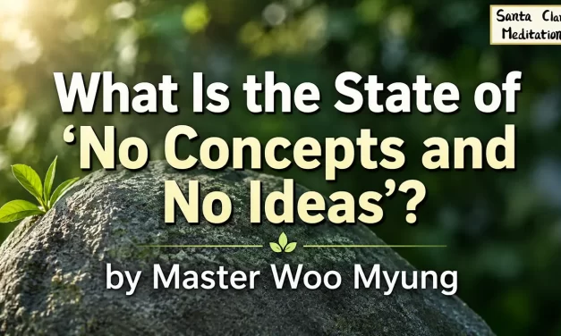 🍃 What Is the State of ‘No Concepts and No Ideas’?:: Finding True Freedom | Master Woo Myung | Santa Clara Meditation