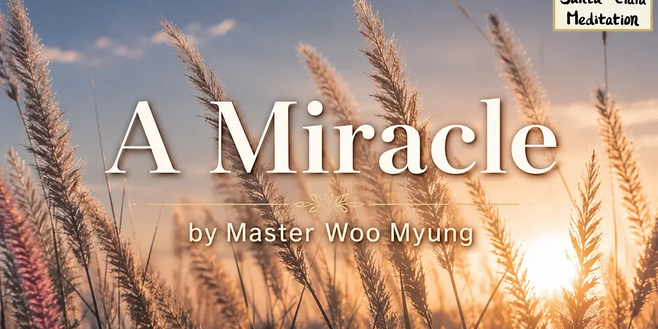 🌟 A Miracle: Discovering the True Meaning of Eternal Life and Truth | Master Woo Myung | Santa Clara Meditation