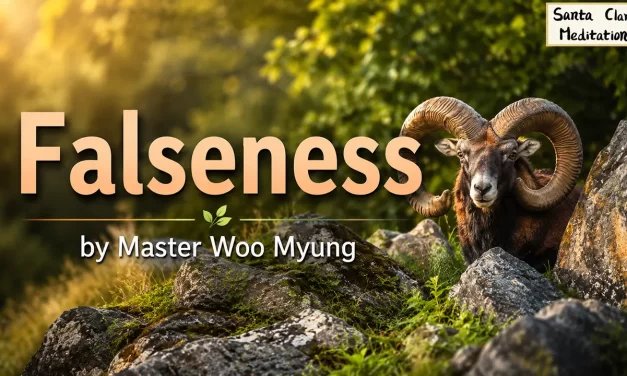 🌅 Falseness: Awakening to the Eternal Light Beyond Human Illusions and Kleshas | Master Woo Myung | Santa Clara Meditation