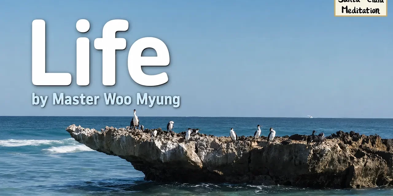 β¨ Life: Discovering the Eternal Origin of True Existence | Master Woo Myung | Santa Clara Meditation