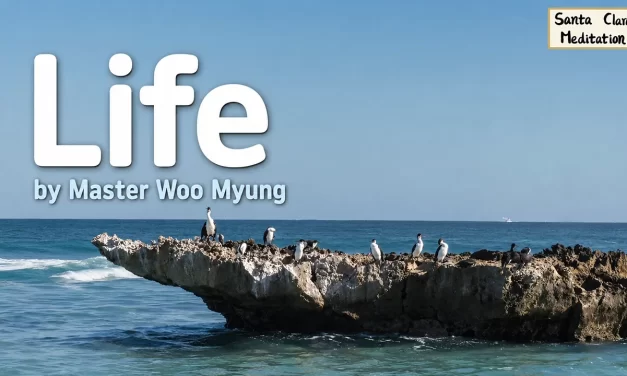 ✨ Life: Discovering the Eternal Origin of True Existence | Master Woo Myung | Santa Clara Meditation