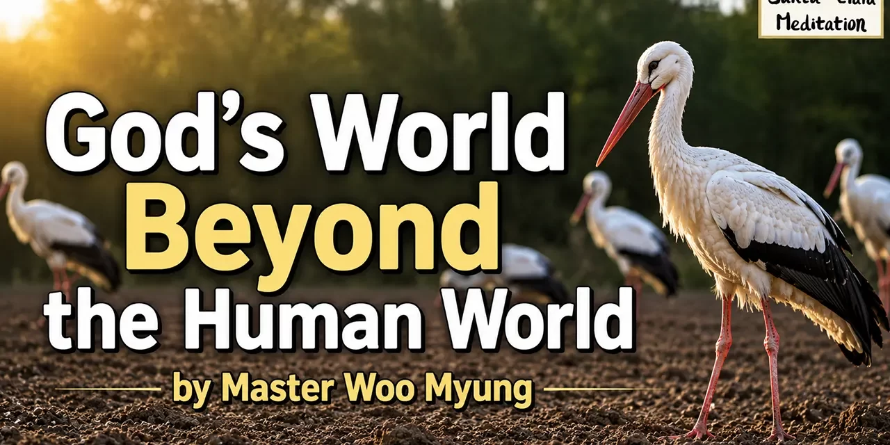 🌌 God’s World Beyond the Human World: Discover the Living Reality | Master Woo Myung | Santa Clara Meditation