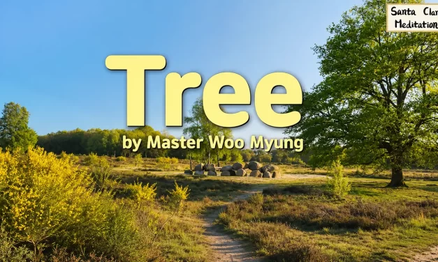 🌳 Tree: Living in Harmony with Nature and the Universe Without Attachments | Master Woo Myung | Santa Clara Meditation
